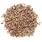 Конопено семе HEMP SEED Vanrobaeys  – N-Burn Baits