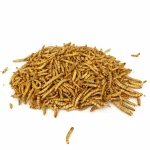 Сухи ларви WORMS – N-Burn Baits